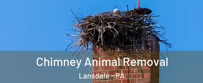  Chimney Animal Removal Lansdale - PA