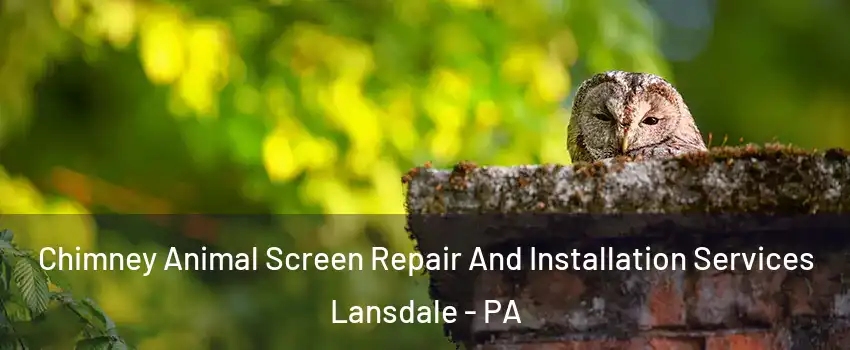  Chimney Animal Screen Repair And Installation Services Lansdale - PA