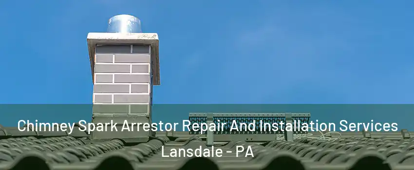  Chimney Spark Arrestor Repair And Installation Services Lansdale - PA