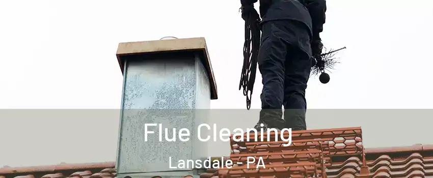  Flue Cleaning Lansdale - PA
