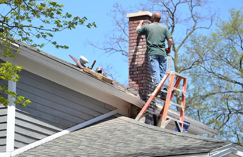 Chimney & Fireplace Inspections Services in Lansdale, PA