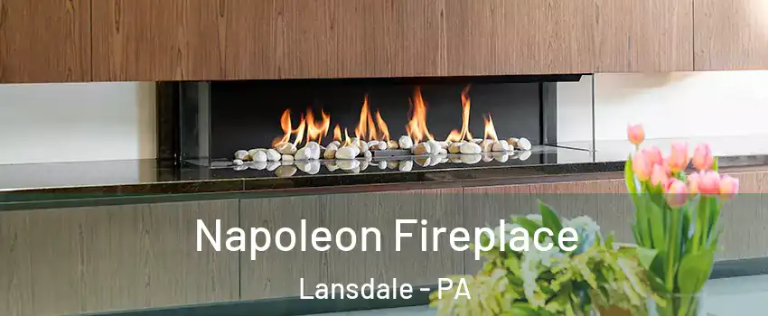  Napoleon Fireplace Lansdale - PA